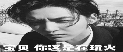 娱乐吃瓜文案搞笑视频,笑料横生！娱乐吃瓜文案搞笑视频大盘点