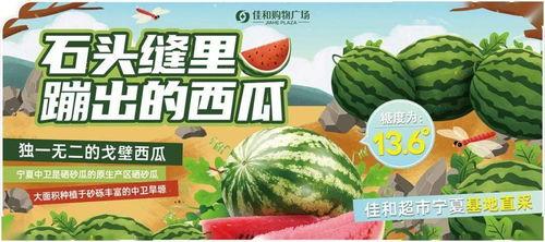 51热门今日大瓜吃瓜,揭秘娱乐圈最新热点事件