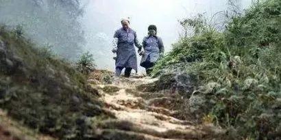 天梯的国语版叫什么,攀登智慧巅峰的旅程