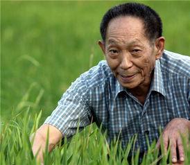 袁隆平在线观看,杂交水稻之父的智慧传承与在线观看之旅