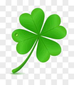 四叶草图片大全,自然与艺术的完美融合