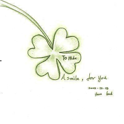 四叶草图片大全,自然与艺术的完美融合