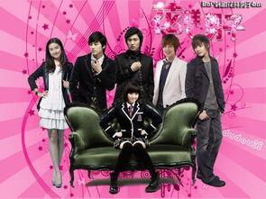 韩剧流星花园国语版,青春校园的浪漫传奇