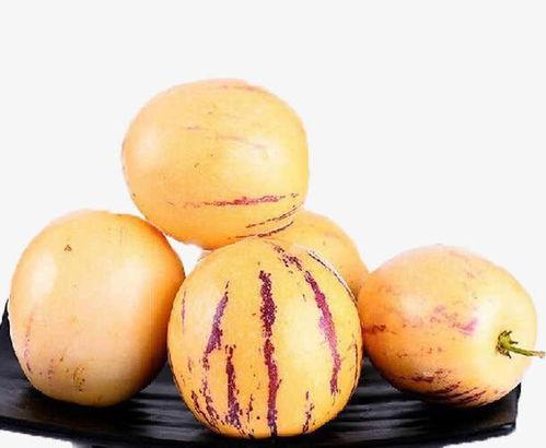 怀孕可以吃黑茄瓜吗,黑茄瓜的适宜与禁忌