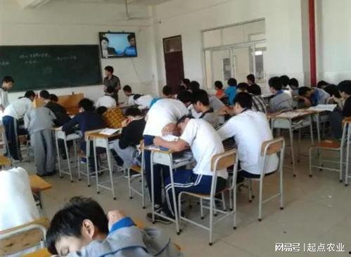 技校视频,从视频看技能人才培养新篇章