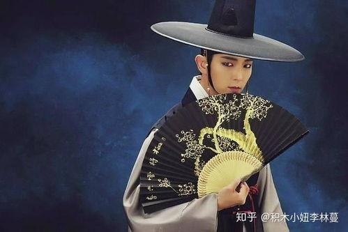 夜行书生国语版全集,穿越时空的浪漫传奇