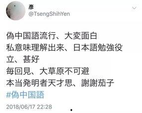 伪日本语,穿越时空的伪日本语之旅