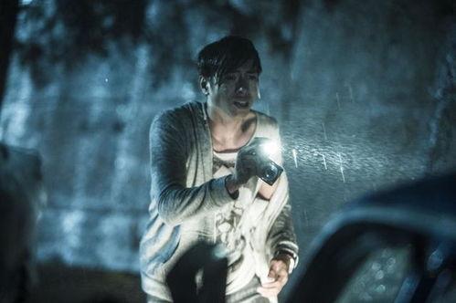 最新电影国语2017,光影交织，情感共鸣