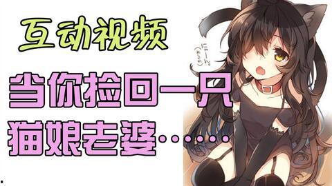 猫娘视频,萌动瞬间，捕捉治愈系猫咪魅力