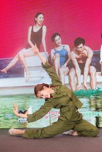 芳华舞蹈图片,探寻舞蹈艺术之美