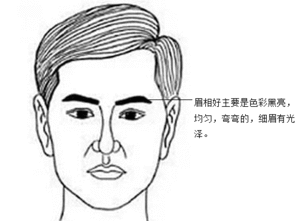 八字眉图片,探寻东方女性的独特韵味