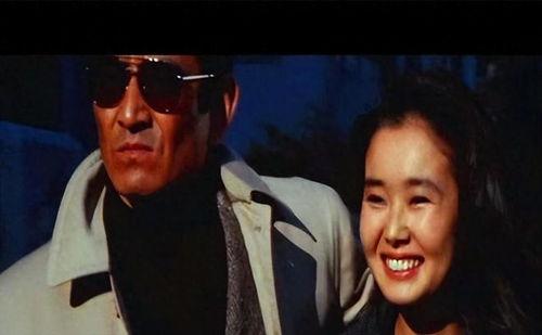 追捕国语版在线观看,热血追凶，正义必胜！在线观看，激情上演！