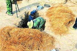 麦秆图片,自然与艺术的完美融合