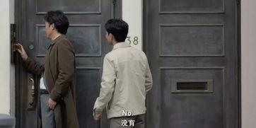 男主是日本黑帮,日本男主的复仇之路