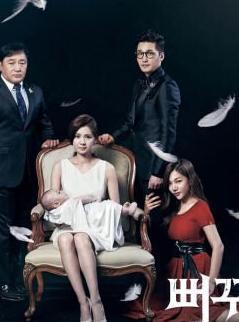 韩国电视剧杜鹃之巢,家族复仇与爱情纠葛的悲歌