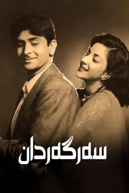 流浪者电影国语下载,追寻自由的电影之旅