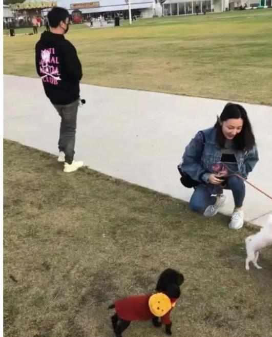 遛狗图片,捕捉人与宠物和谐共处的温馨瞬间