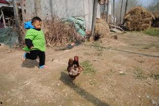 农村小孩图片大全,农村小孩的欢乐时光