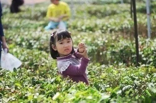 农村小孩图片大全,农村小孩的欢乐时光