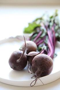 野生甜菜图片,探寻野生甜菜的自然魅力与营养价值