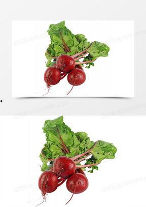 野生甜菜图片,探寻野生甜菜的自然魅力与营养价值