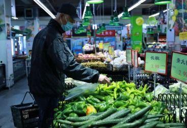 新发地贝贝瓜今日价格,价格行情一览”