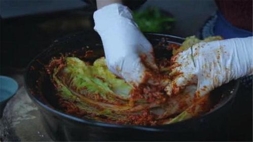 腌酸菜视频,传统美味，简单易学，冬季必备美味分享