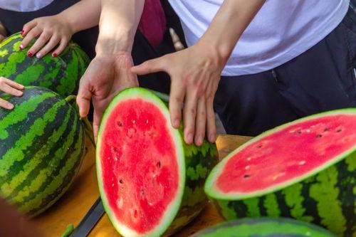 丽水今日吃瓜新闻视频最新,视频曝光引网友热议！