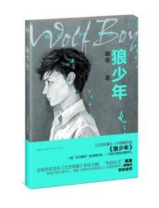 狼少年国语,跨越时空的深情邂逅