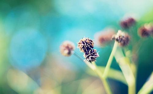 唯美壁纸图片大全,唯美壁纸图片大全精选