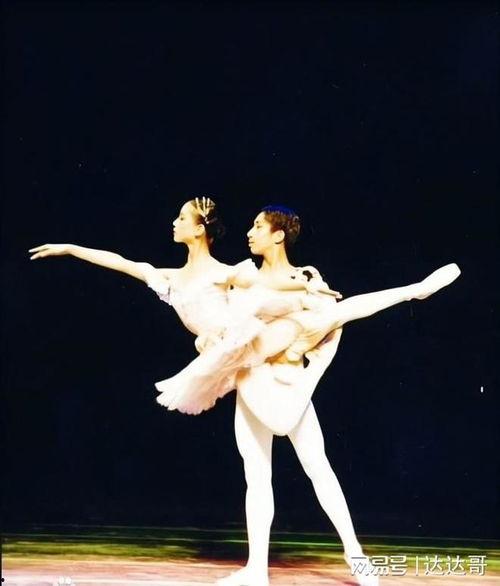 芭蕾舞学院在线观看,芭蕾舞学院在线观看之旅