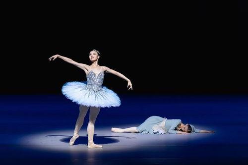 芭蕾舞学院在线观看,芭蕾舞学院在线观看之旅