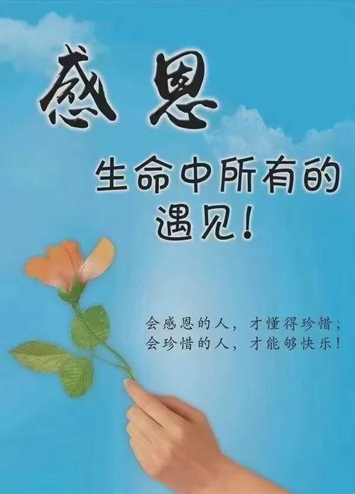 手机感恩头像图片大全,传递感恩之情，点亮心灵之光