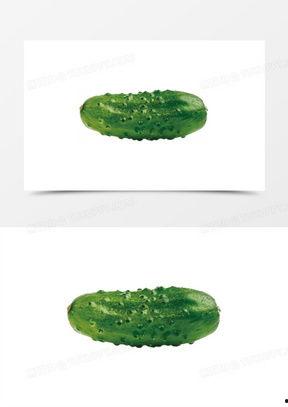 黄瓜图片大全图片欣赏,缤纷色彩，尽享视觉盛宴