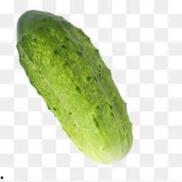 黄瓜图片大全图片欣赏,缤纷色彩，尽享视觉盛宴
