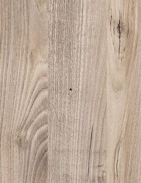 原木图片,自然纹理与生命韵律的完美融合