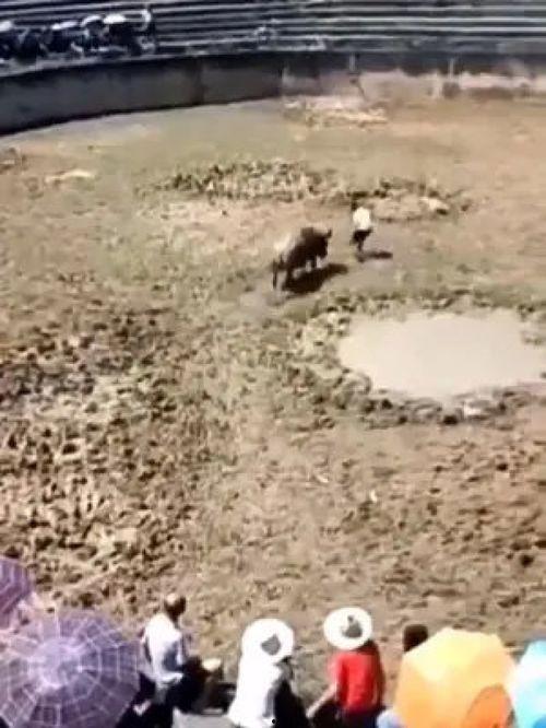 斗牛搞笑视频,搞笑视频带你领略斗牛的幽默瞬间