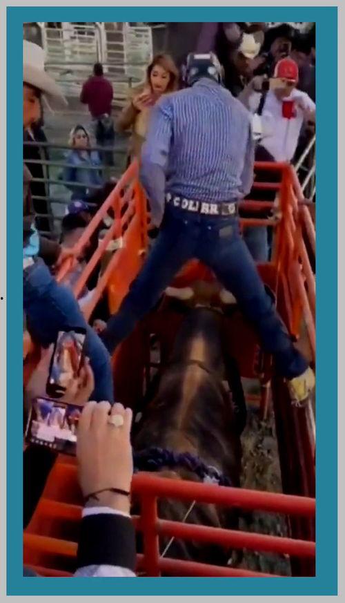 斗牛搞笑视频,搞笑视频带你领略斗牛的幽默瞬间