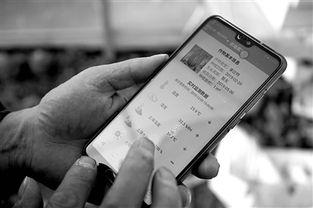 河西希手机在线观看,畅享科技魅力，解锁智能生活新篇章