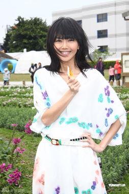 孙燕姿 日本,音乐与文化的交融之旅