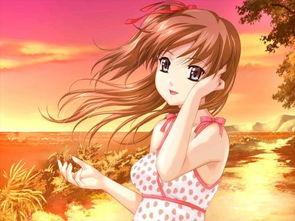 boin全集在线观看,跟随BOIN全集，踏上神秘生物的奇幻之旅