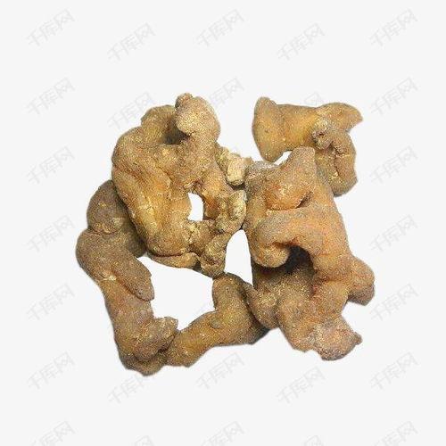 黄精图片大全,探寻天然滋补佳品的魅力瞬间