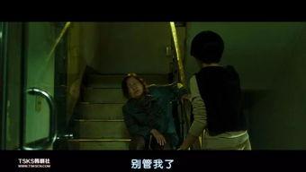 韩国电影肚皮在线观看,探寻身体与灵魂的舞蹈之旅