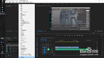 pr视频剪辑软件,打造精彩视觉盛宴的秘籍解析