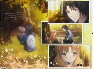 背叛图片,揭秘人性裂痕的瞬间