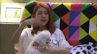 吾儿可教在线观看,揭秘育儿智慧与成长之路