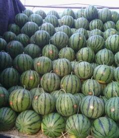 保定清苑最新吃瓜爆料,揭秘神秘事件背后的真相