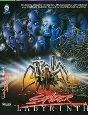 蜘蛛迷宫电影在线观看,惊悚揭秘，在线观影体验