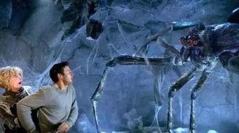 蜘蛛迷宫电影在线观看,惊悚揭秘，在线观影体验