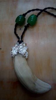 真老虎牙图片大全,揭秘自然界中的利齿王者